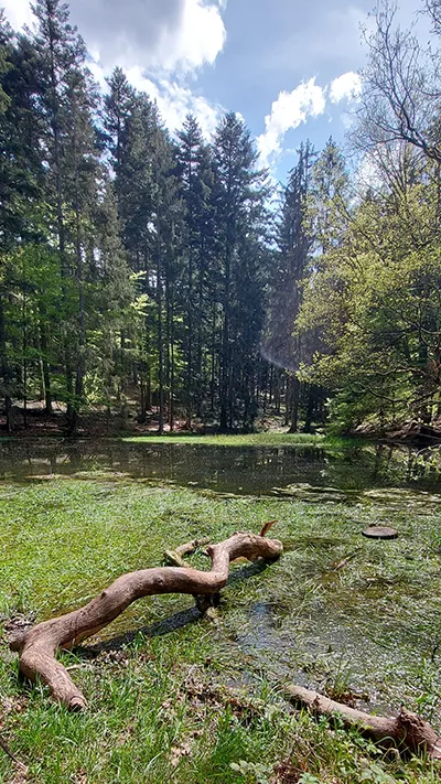 Wanderung Spessartbund Bad Orb