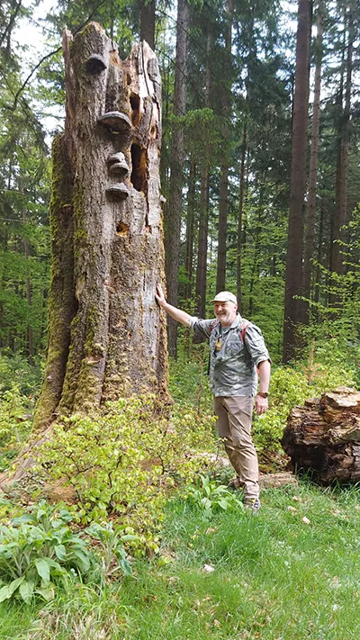 Wanderung Spessartbund Bad Orb